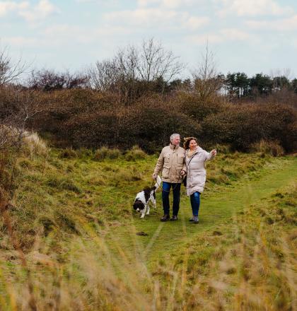 Wandelende recreanten in het duingebied