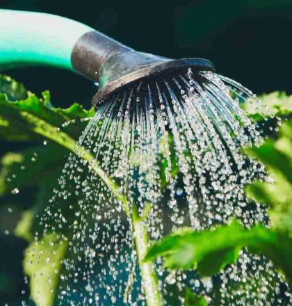 Waterbewustzijn_header