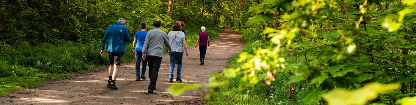 6 mensen die wandelen in het Noordhollands Duinreservaat