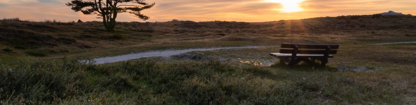 Bank in duinen
