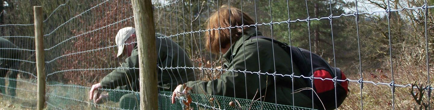 Afbeelding vacature vrijwillige hekketeur