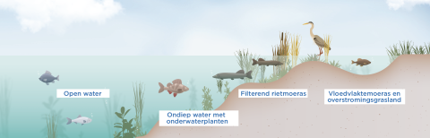 Het effect van gelaagde Klimaatbuffer op de biodiversiteit in de omgeving.