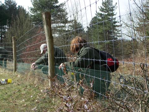 Afbeelding vacature vrijwillige hekketeur